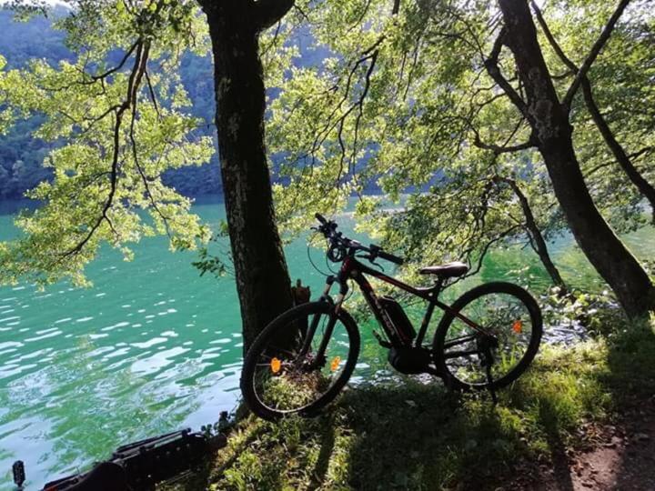 Appartamento Levico lake Levico Terme Esterno foto